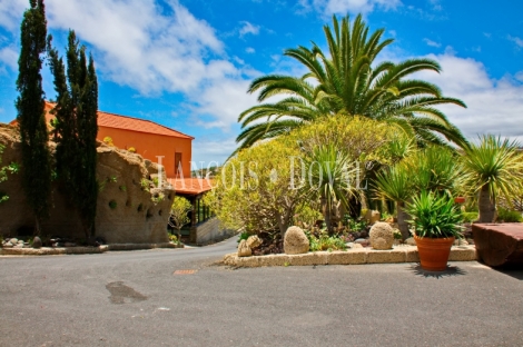 Tenerife. Finca vinícola en venta con bodega y restaurante. Ideal eventos.