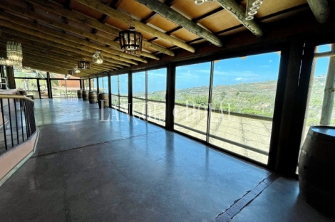 Tenerife. Finca vinícola en venta con bodega y restaurante. Ideal eventos.