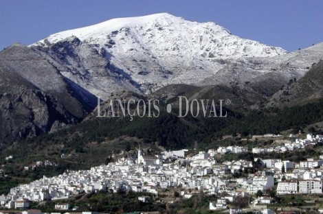 Casarabonela. Provincia de Malaga. Manantial de agua en venta.