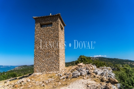 Gran coto de caza en venta. Albacete. Yeste. Finca agrícola y ganadera