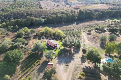 Badajoz. Finca olivar y viñedo en venta. La Codosera, Ideal casa rural