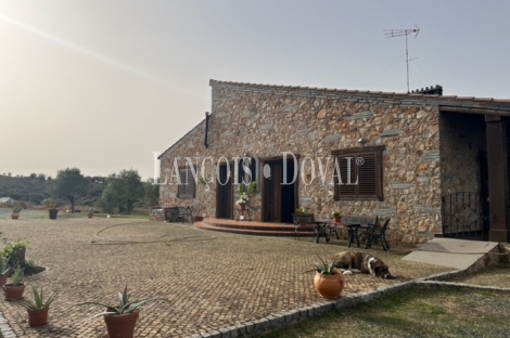 Badajoz. Finca olivar y viñedo en venta. La Codosera, Ideal casa rural