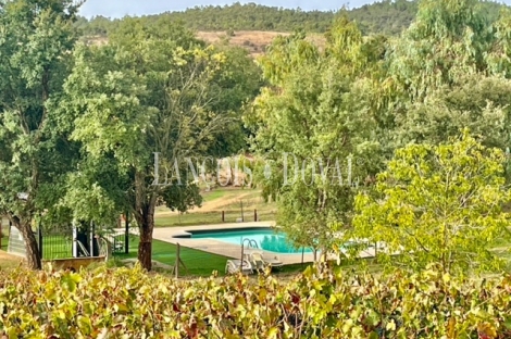 Badajoz. Finca olivar y viñedo en venta. La Codosera, Ideal casa rural