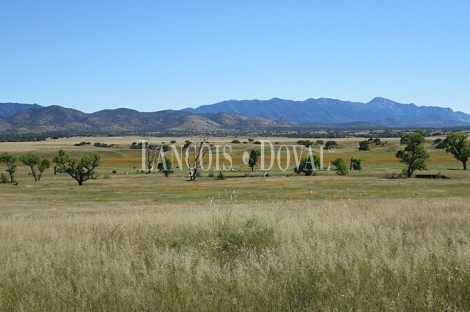 Toledo. Gran finca ecuestre en venta. 1.500 ha. Coto de caza mayor y menor