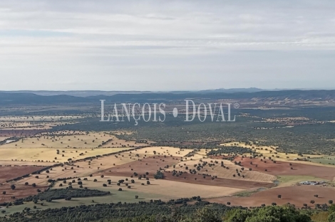 Toledo. Gran finca ecuestre en venta. 1.500 ha. Coto de caza mayor y menor