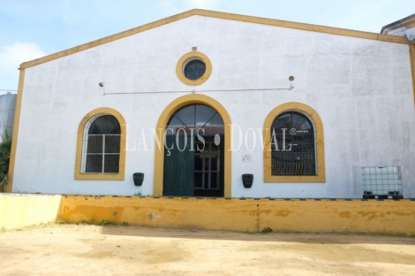 Toledo. Gran finca ecuestre en venta. 1.500 ha. Coto de caza mayor y menor