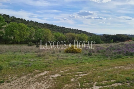 Ciudad Real. Gran finca en venta. Coto de Caza y labor