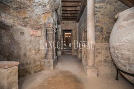 Sepúlveda. Casa palacio señorial en venta ideal eventos o proyecto turístico.