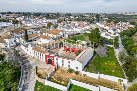 Sevilla. Hacienda olivar en venta. Posibilidad hotelera o proyecto residencial.