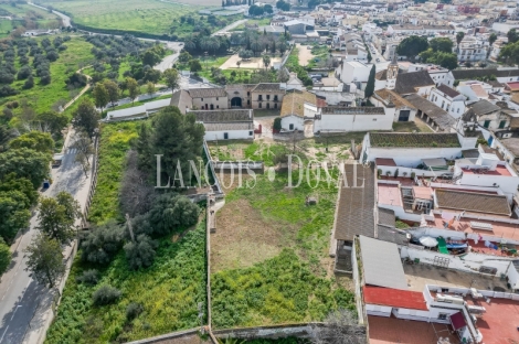 Sevilla. Hacienda olivar en venta. Posibilidad hotelera o proyecto residencial.