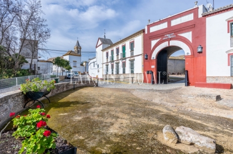 Sevilla. Hacienda olivar en venta. Posibilidad hotelera o proyecto residencial.