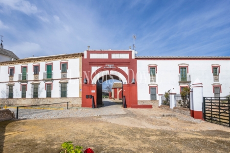 Sevilla. Hacienda olivar en venta. Posibilidad hotelera o proyecto residencial.