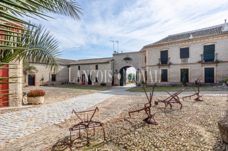 Sevilla. Hacienda olivar en venta. Posibilidad hotelera o proyecto residencial.