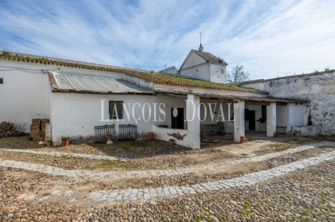 Sevilla. Hacienda olivar en venta. Posibilidad hotelera o proyecto residencial.