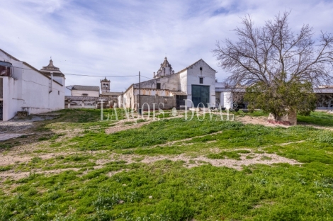 Sevilla. Hacienda olivar en venta. Posibilidad hotelera o proyecto residencial.