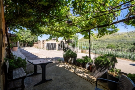 Mallorca. Gran finca en venta. Antigua Possessió, Artà