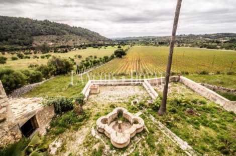 Mallorca. Possessio mallorquina en venta. Proyecto para agroturismo. Campanet, 