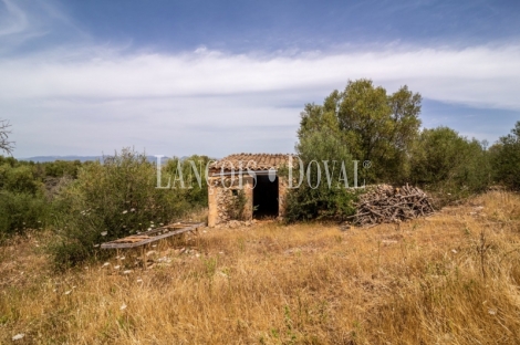 Gran finca rústica en venta. Costitx, Mallorca propiedades singulares.