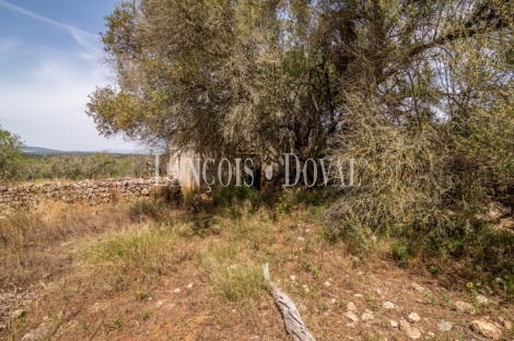 Gran finca rústica en venta. Costitx, Mallorca propiedades singulares.