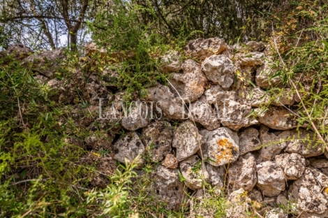 Gran finca rústica en venta. Costitx, Mallorca propiedades singulares.