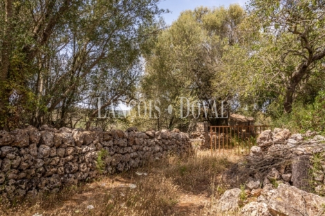 Gran finca rústica en venta. Costitx, Mallorca propiedades singulares.