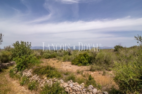 Gran finca rústica en venta. Costitx, Mallorca propiedades singulares.