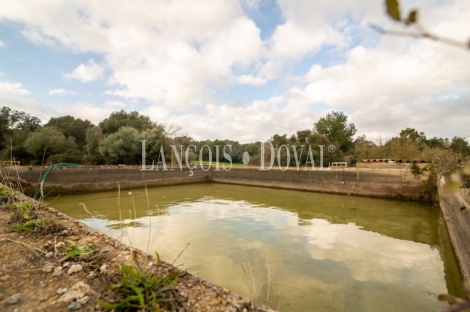 Artà, Mallorca. Gran finca rústica en venta con casa para reformar.