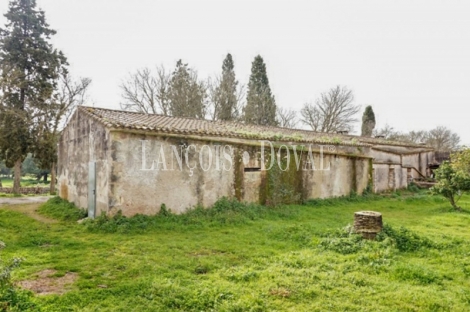 Mallorca. Finca rústica en venta. Bonita possessió mallorquina en María de la Salut.