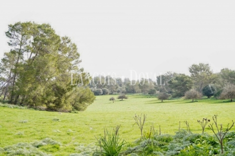 Mallorca. Finca rústica en venta. Bonita possessió mallorquina en María de la Salut.