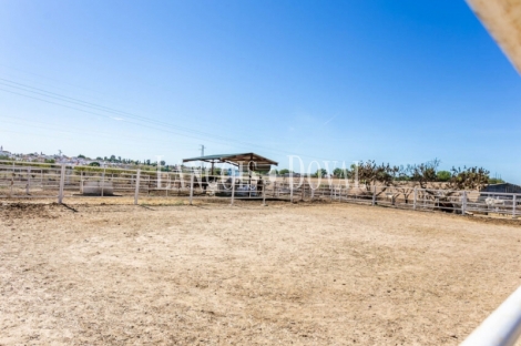 Sevilla. Exclusiva finca ecuestre y caserío en venta. El Aljarafe