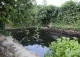 Venta finca y molino de salto de agua reconstruido. Campo de Borja. Zaragoza.