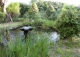 Venta finca y molino de salto de agua reconstruido. Campo de Borja. Zaragoza.