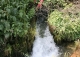 Venta finca y molino de salto de agua reconstruido. Campo de Borja. Zaragoza.