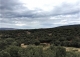 Soria. Finca y coto de caza en venta. Monte de encina.