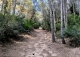 Tortosa. Campredó. Venta Finca con casa,  olivar, cítricos y bosque para caza menor