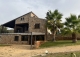 Badajoz. Finca olivar y viñedo en venta. La Codosera, Ideal casa rural