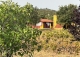 Badajoz. Finca olivar y viñedo en venta. La Codosera, Ideal casa rural