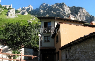 Hotel rural y apartamentos turísticos en venta. Lena. Asturias.