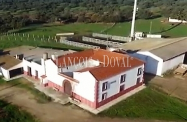 Córdoba. Finca de recreo en venta. Uso ganadero y agrícola. Los Pedroches.