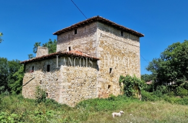 Burgos. Torre medieval en venta a rehabilitar. Vallejuelo. Los Portales