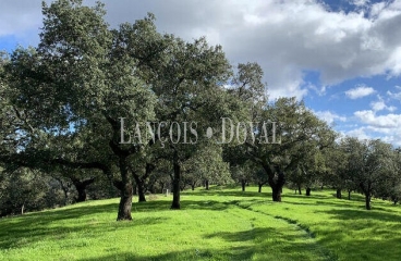 Extremadura. Gran Finca ganadera y coto de caza en venta.