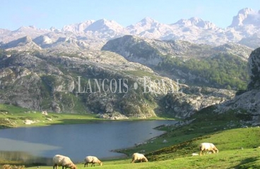 Picos de Europa. Restaurante en venta. La Venta, Cangas de Onís. Asturias